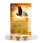 advocate-cat